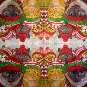 KAT-945 Cats - 3-ply - ppd - Two Can Art